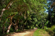 Thumbnail _mg_1892.jpg 