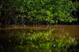 Thumbnail _mg_2306.jpg 