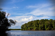 Thumbnail _mg_2331.jpg 