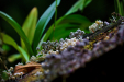 Thumbnail _mg_2634.jpg 