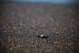 Thumbnail _mg_2922.jpg 