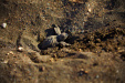 Thumbnail _mg_2943.jpg 