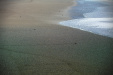 Thumbnail _mg_2976.jpg 