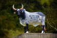Thumbnail _mg_3032.jpg 