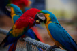 Thumbnail _mg_3148.jpg 