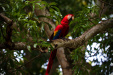 Thumbnail _mg_3204.jpg 