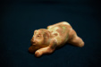 Thumbnail _mg_3306.jpg 