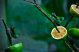 Thumbnail _mg_3326.jpg 