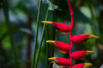 Thumbnail _mg_3433.jpg 
