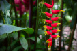 Thumbnail _mg_3435.jpg 