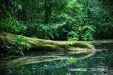 Thumbnail _mg_3521.jpg 