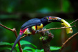 Thumbnail _mg_3608.jpg 