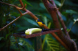 Thumbnail _mg_3674.jpg 