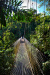 Thumbnail _mg_3817.jpg 