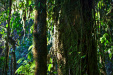 Thumbnail _mg_3832.jpg 