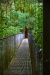 Thumbnail _mg_3856.jpg 