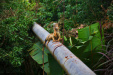Thumbnail _mg_4017.jpg 