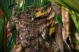 Thumbnail _mg_4190.jpg 