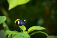 Thumbnail _mg_4421.jpg 