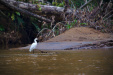 Thumbnail _mg_4683.jpg 