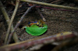 Thumbnail _mg_4948.jpg 
