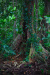 Thumbnail _mg_4974.jpg 