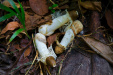Thumbnail _mg_4997.jpg 