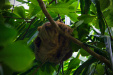 Thumbnail _mg_5474.jpg 