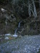 Thumbnail IMG_3367.JPG 