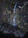 Thumbnail IMG_3368.JPG 