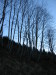 Thumbnail IMG_3391.JPG 
