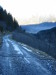 Thumbnail IMG_3392.JPG 