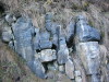 Thumbnail IMG_3393.JPG 