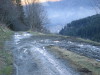 Thumbnail IMG_3397.JPG 