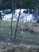 Thumbnail IMG_3398.JPG 
