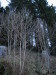 Thumbnail IMG_3400.JPG 