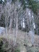 Thumbnail IMG_3401.JPG 
