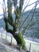 Thumbnail IMG_3405.JPG 