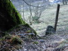 Thumbnail IMG_3407.JPG 
