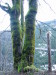 Thumbnail IMG_3410.JPG 