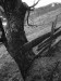Thumbnail IMG_3420.JPG 