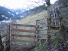 Thumbnail IMG_3422.JPG 