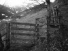 Thumbnail IMG_3423.JPG 