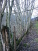 Thumbnail IMG_3424.JPG 