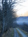 Thumbnail IMG_3427.JPG 