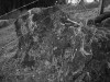 Thumbnail IMG_3430.JPG 