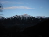 Thumbnail IMG_3437.JPG 