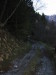 Thumbnail IMG_3438.JPG 