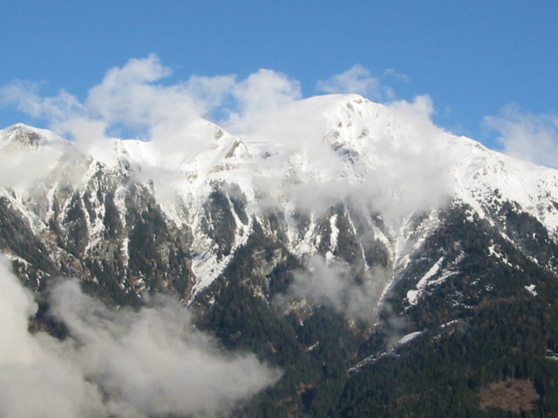IMG_3364.JPG 