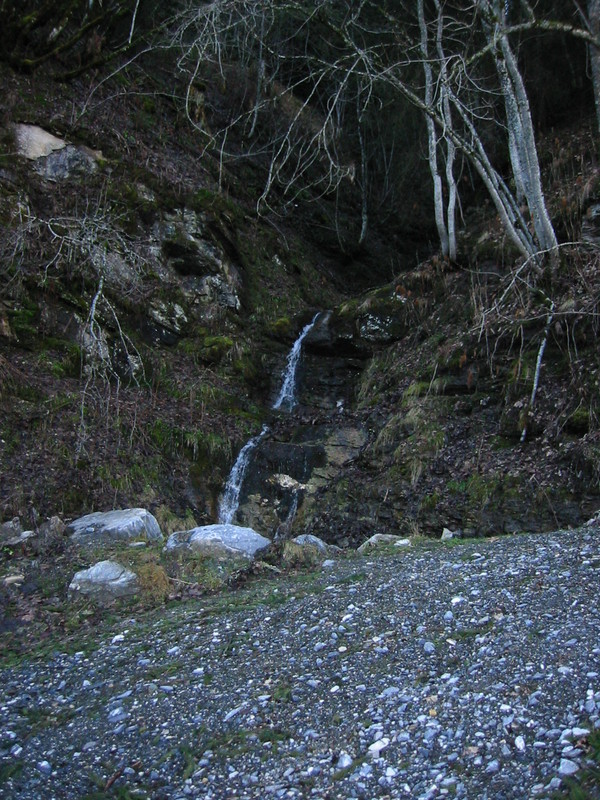 IMG_3367.JPG 